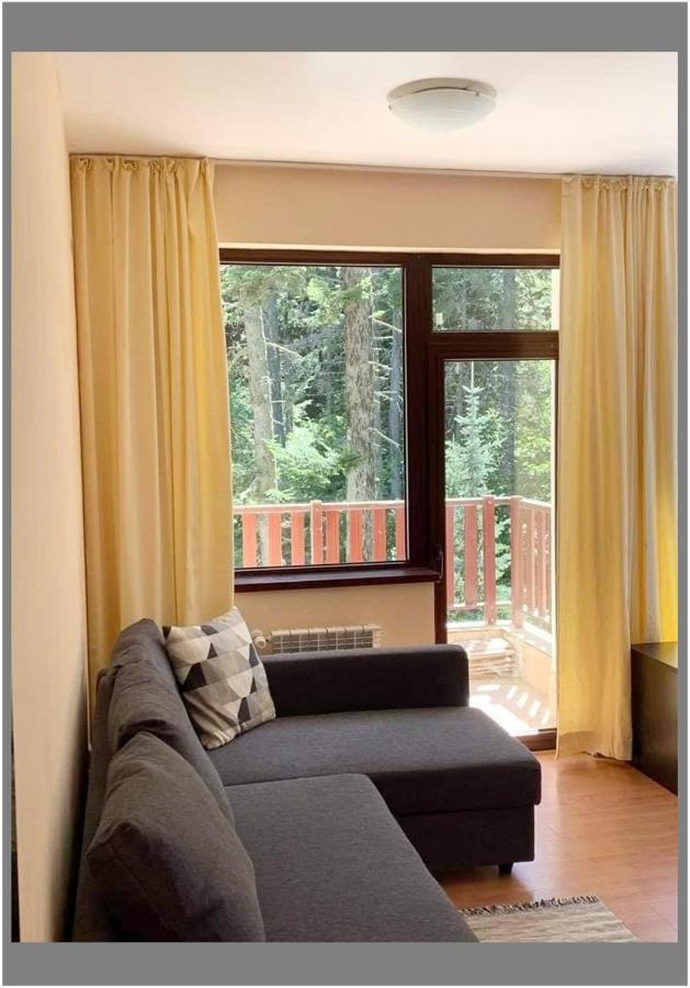 Flora Ski-slope Apartment Borovets Exterior foto