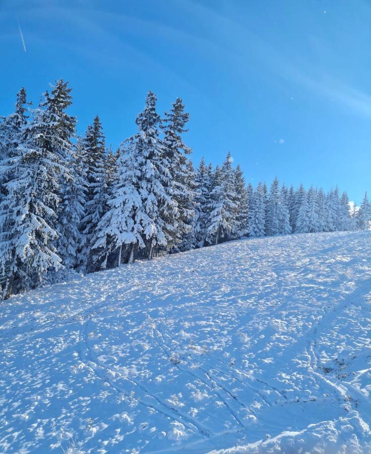 Flora Ski-slope Apartment Borovets Exterior foto